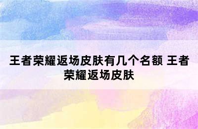 王者荣耀返场皮肤有几个名额 王者荣耀返场皮肤